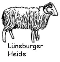 Lüneburg / Lüneburger Heide