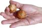 2 Anti-Stress-Kugeln aus Olivenholz