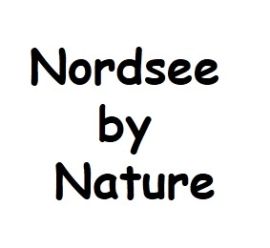 Souvenir aus Olivenholz / Motiv "Nordsee by Nature"